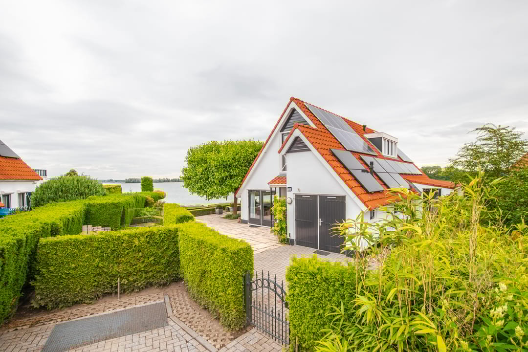 Foto 41 van IJsvogel 65