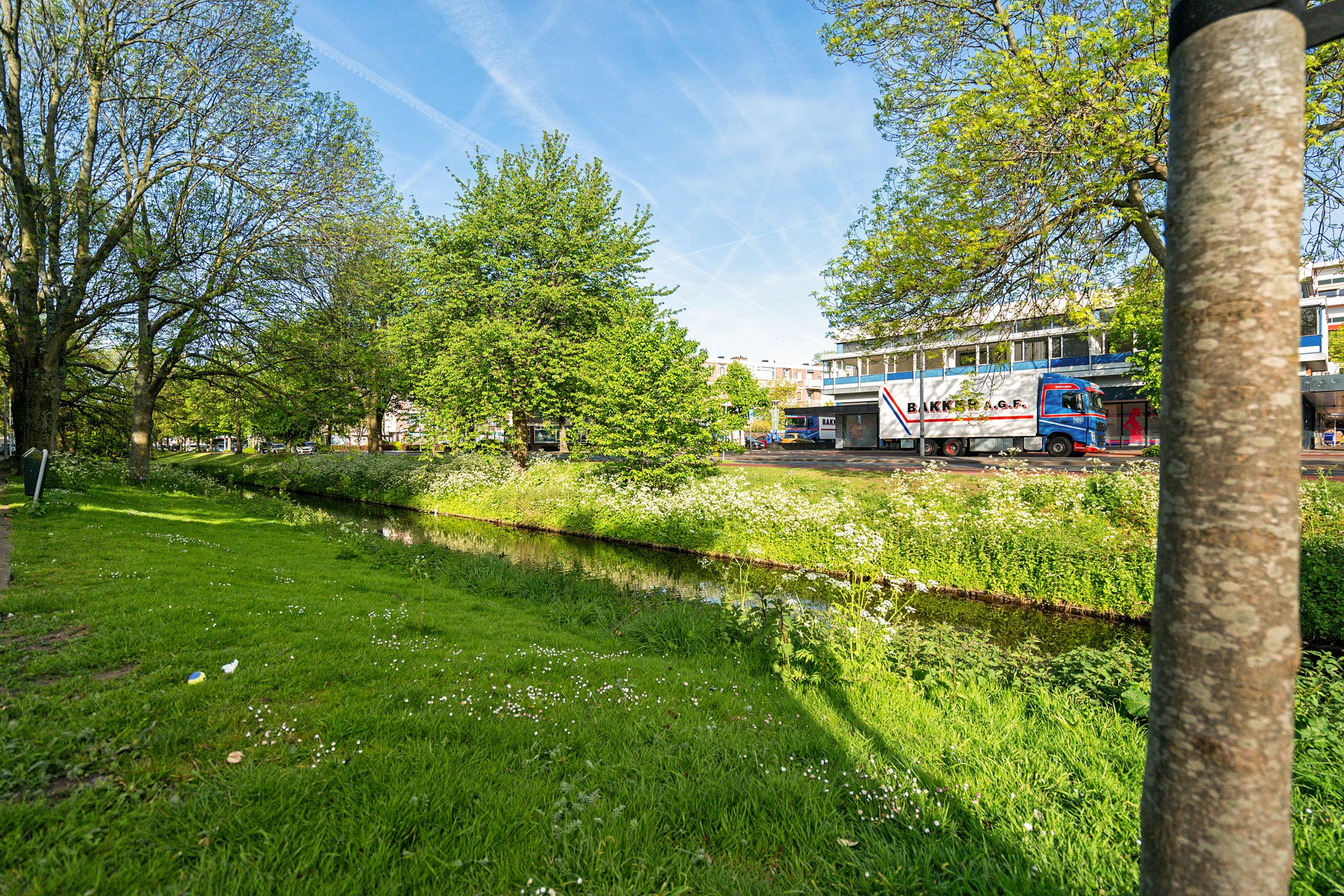 Foto 9 van Leyweg 547