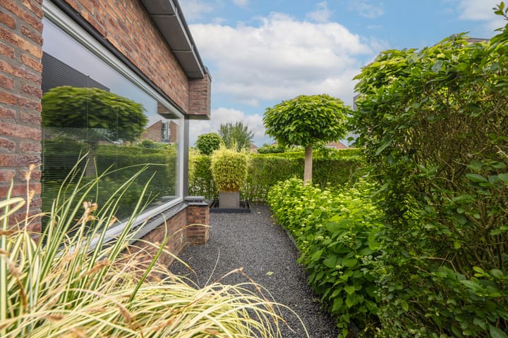 Foto 6 van Marene 24