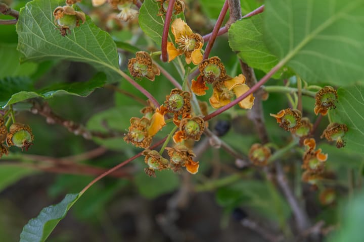 Foto 55 van Marene 24