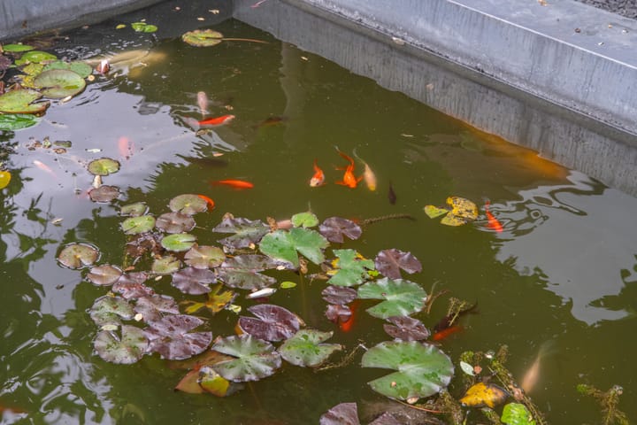 Foto 58 van Marene 24