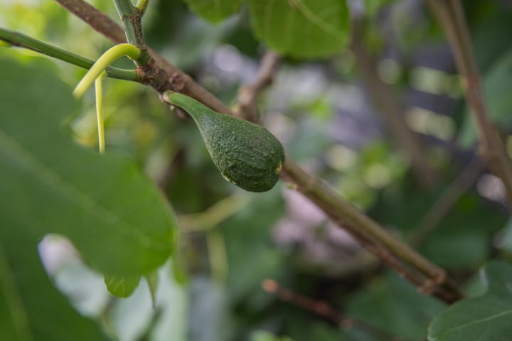 Foto 68 van Marene 24