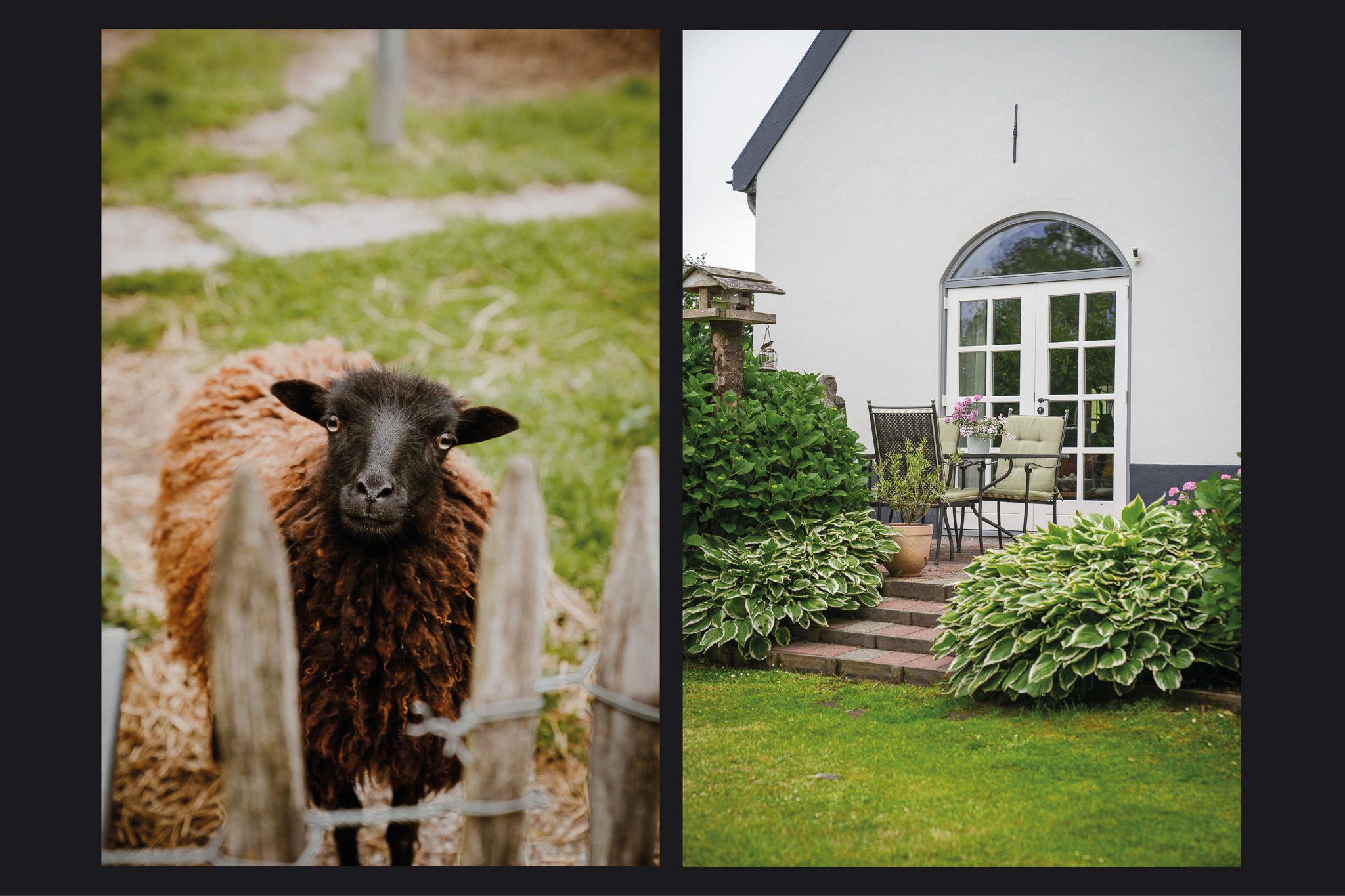 Foto 60 van Maasdijk 42