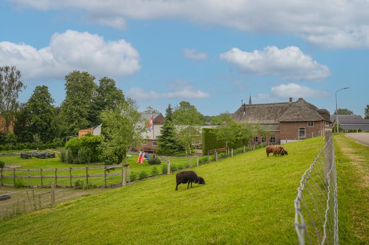 Photo 65 of Maasdijk 42