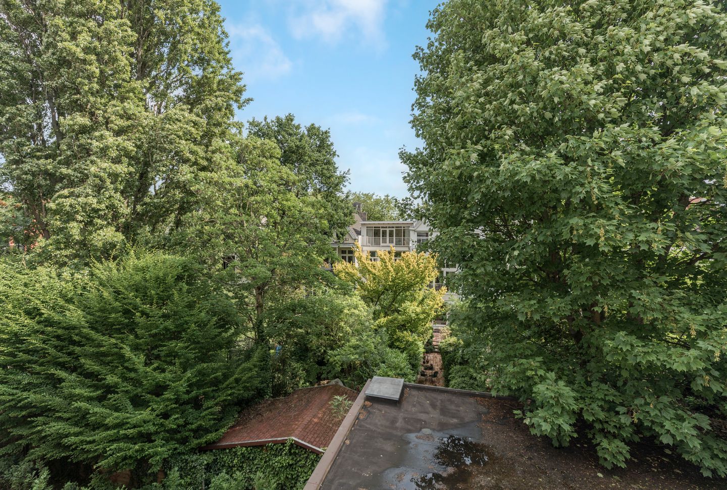 Foto 14 van Agniesestraat 11-C