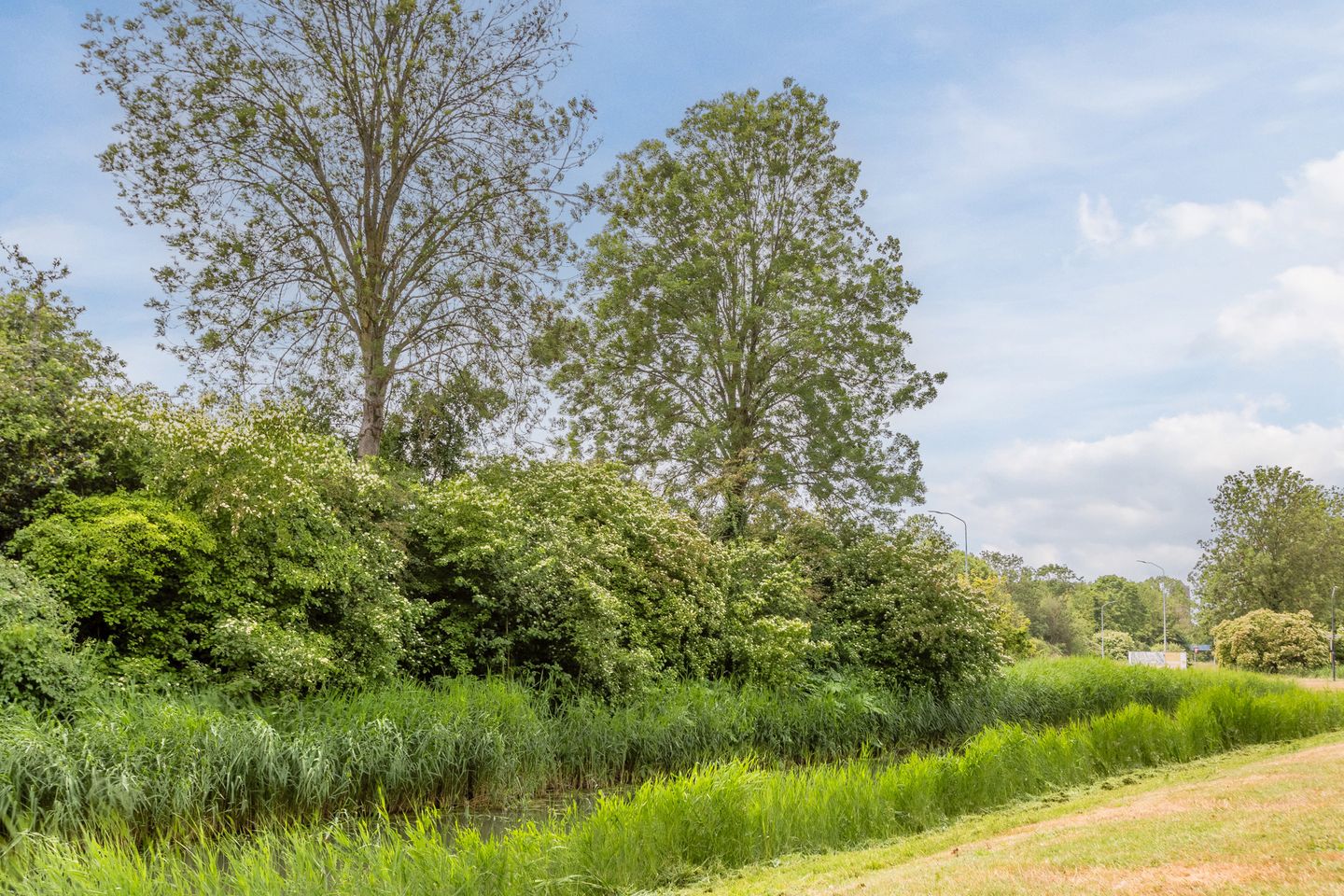 Foto 29 van Bremenstraat 191