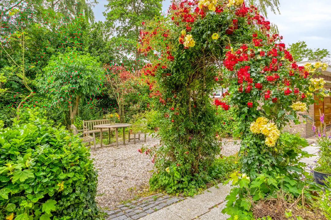 Foto 53 van Reijerskoop 69