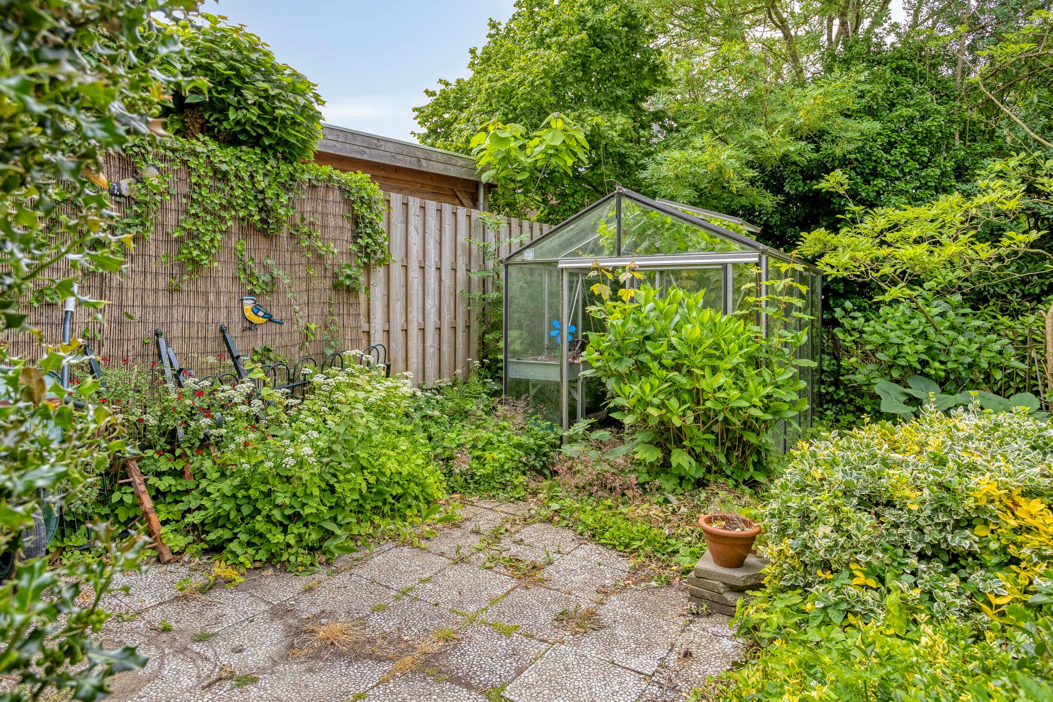 Foto 54 van Reijerskoop 69