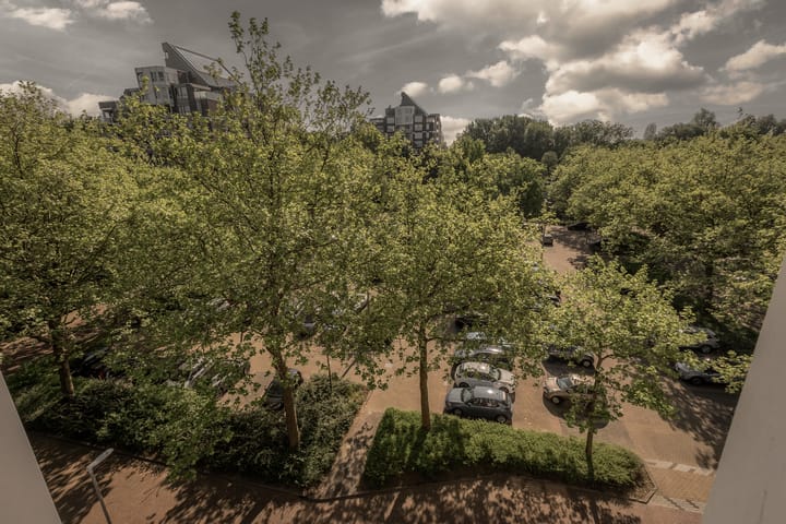 Foto 24 van Logger 270