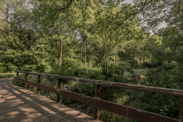 Foto 32 van Logger 270