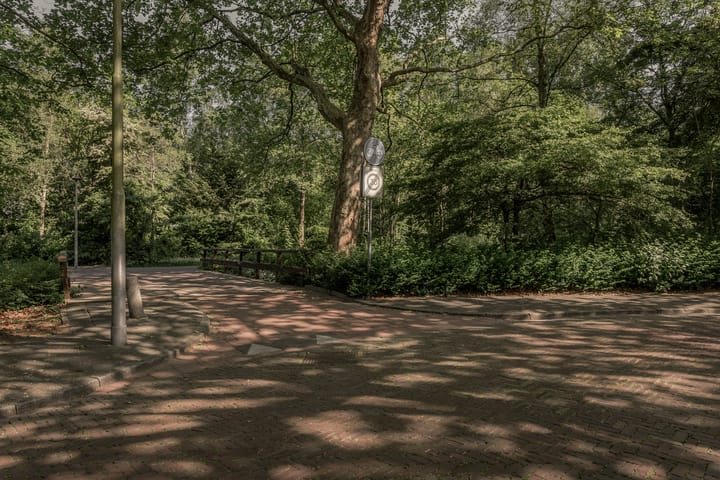 Foto 33 van Logger 270