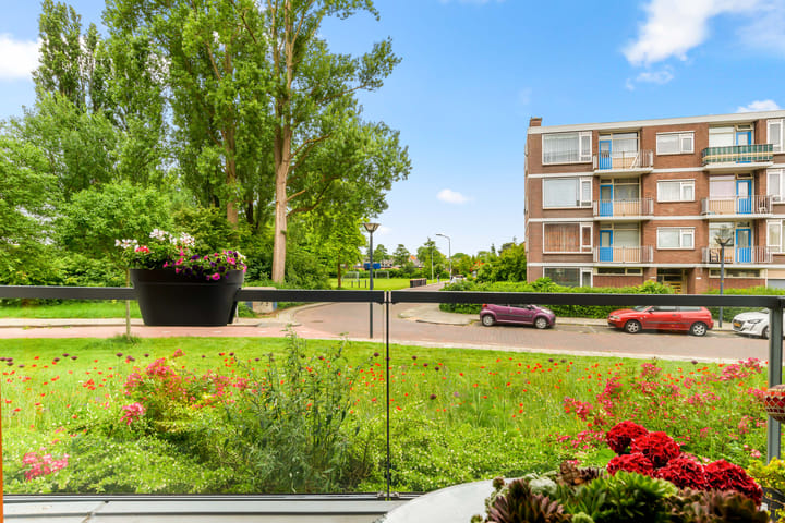 Foto 41 van Lessestraat 260