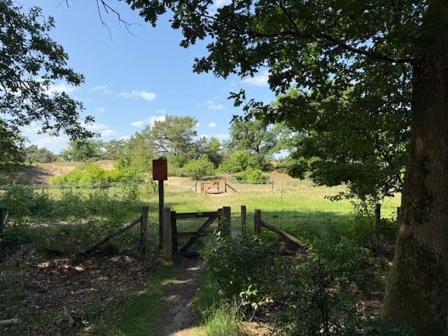 Photo 20 of Nieuw Milligenseweg 53-A38