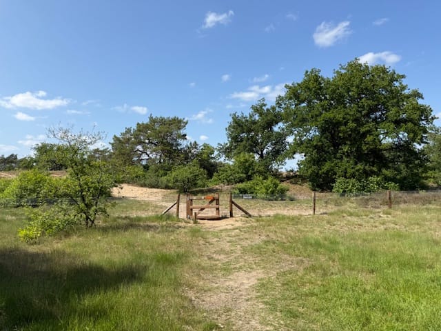 Photo 24 of Nieuw Milligenseweg 53-A38