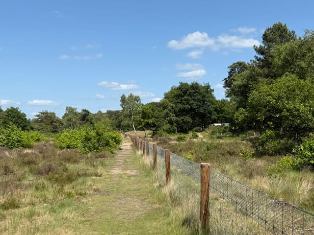 Photo 25 of Nieuw Milligenseweg 53-A38