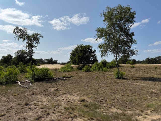 Photo 26 of Nieuw Milligenseweg 53-A38