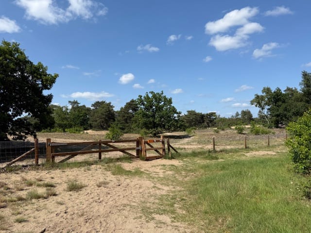 Photo 27 of Nieuw Milligenseweg 53-A38