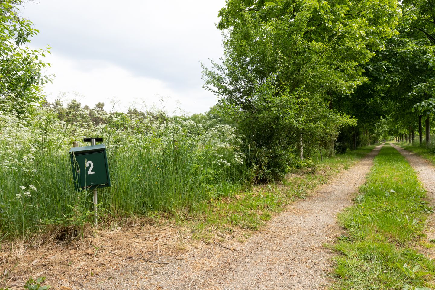 Bekijk foto 4 van Vragenderweg 2