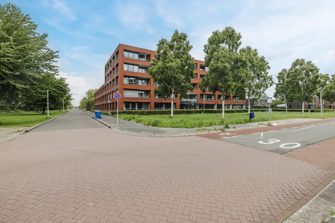 Foto 1 van Elzenmos 4