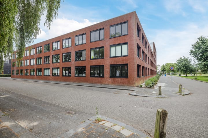 Foto 4 van Elzenmos 4