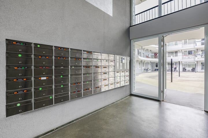 Foto 5 van Elzenmos 4