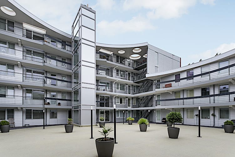 Foto 8 van Elzenmos 4