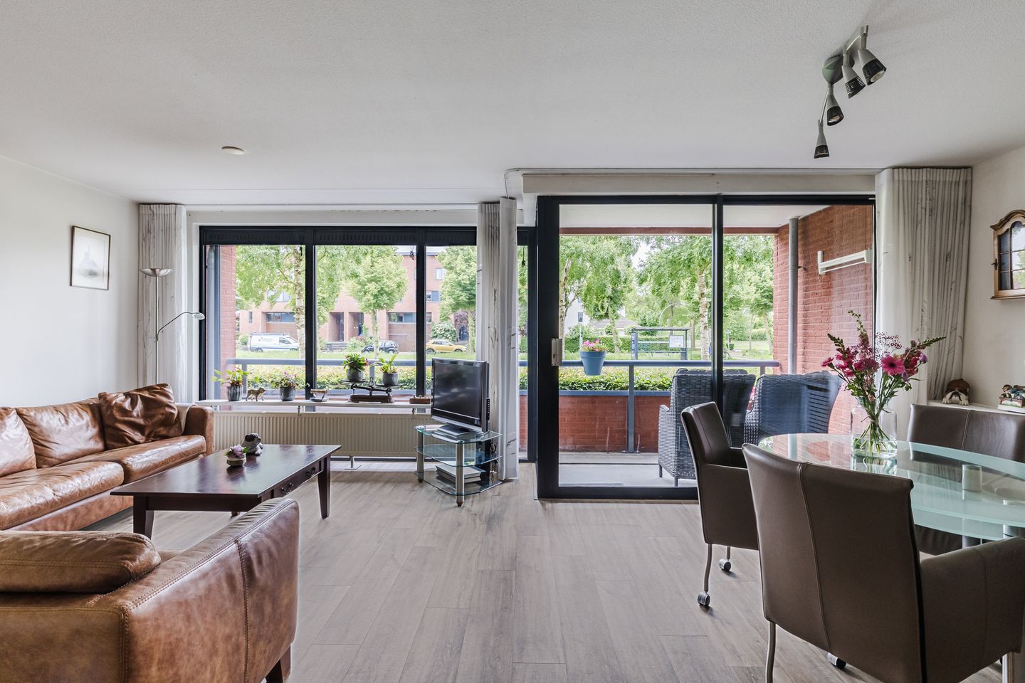 Foto 14 van Elzenmos 4