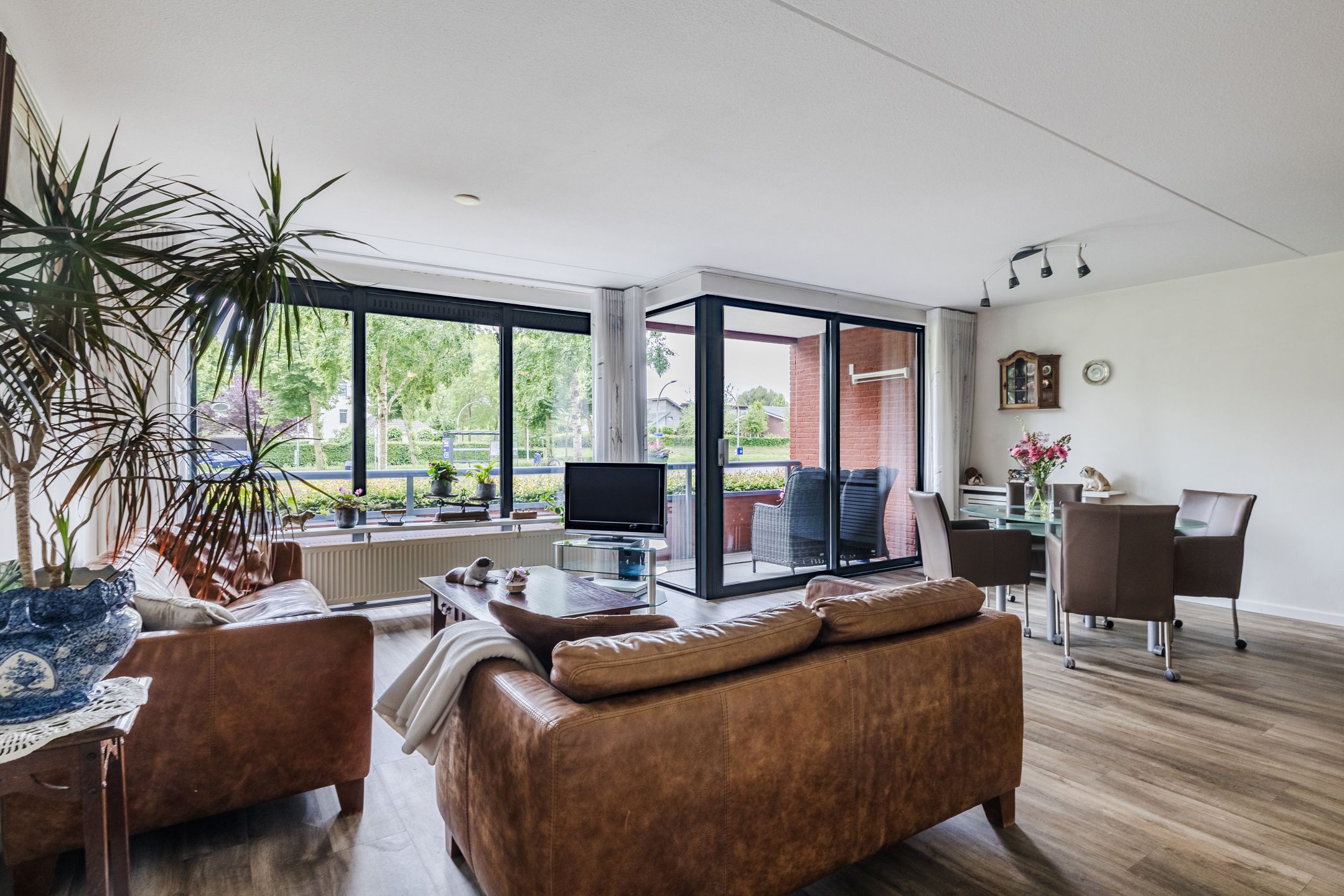 Foto 15 van Elzenmos 4