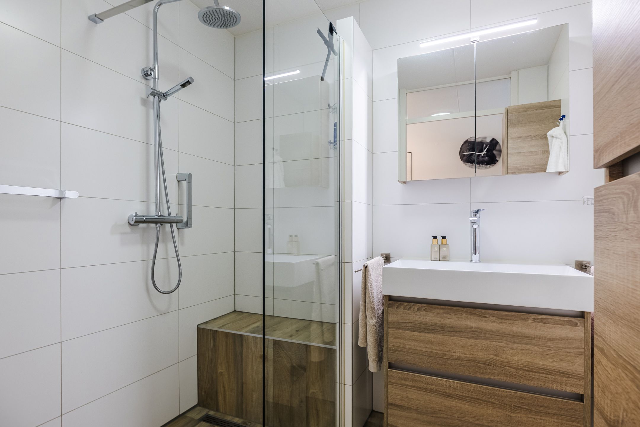 Foto 27 van Elzenmos 4