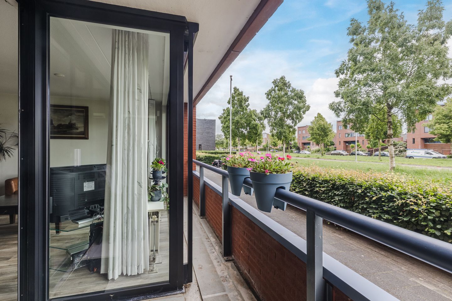 Foto 29 van Elzenmos 4