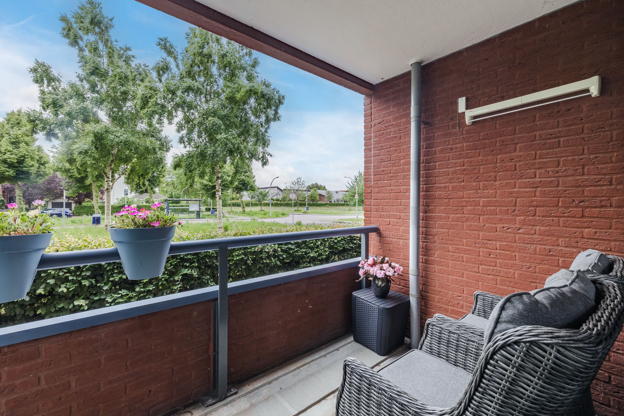 Foto 30 van Elzenmos 4