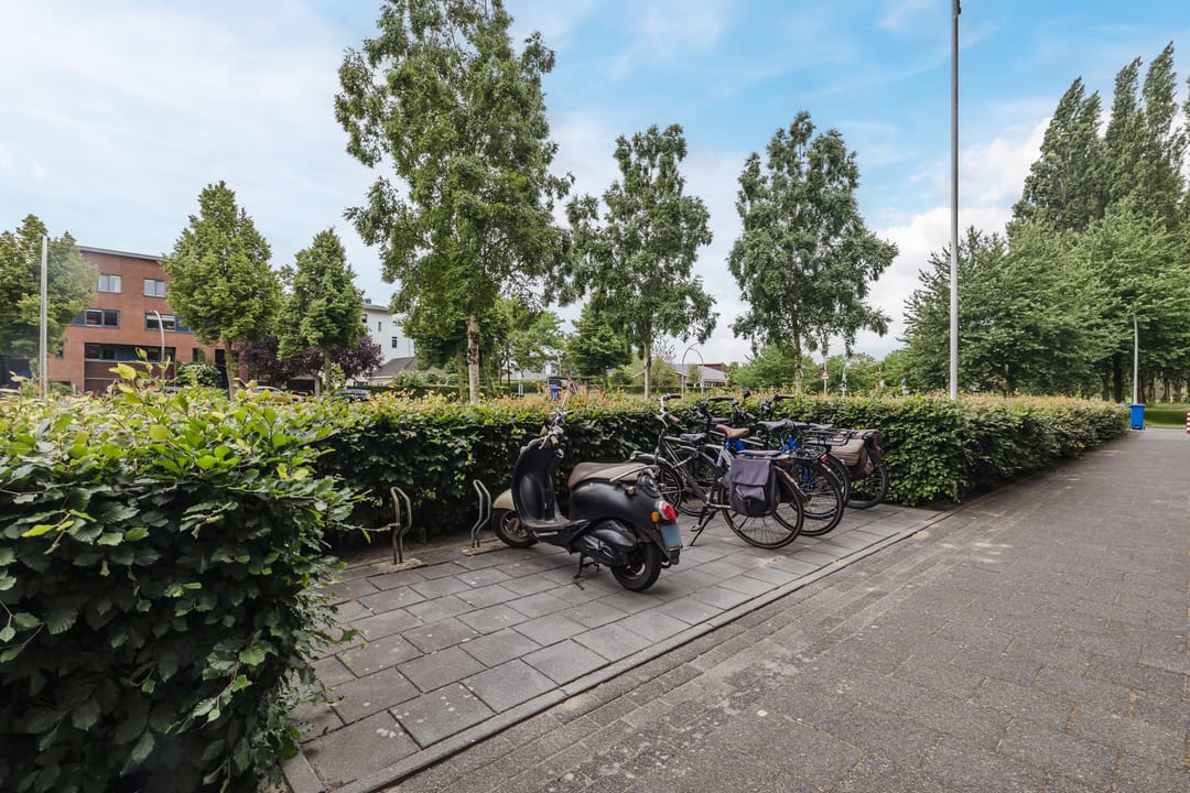 Foto 31 van Elzenmos 4