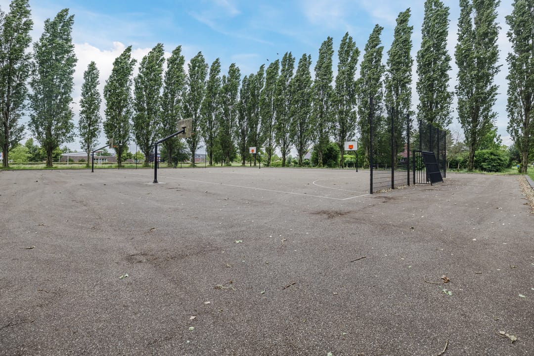 Foto 32 van Elzenmos 4