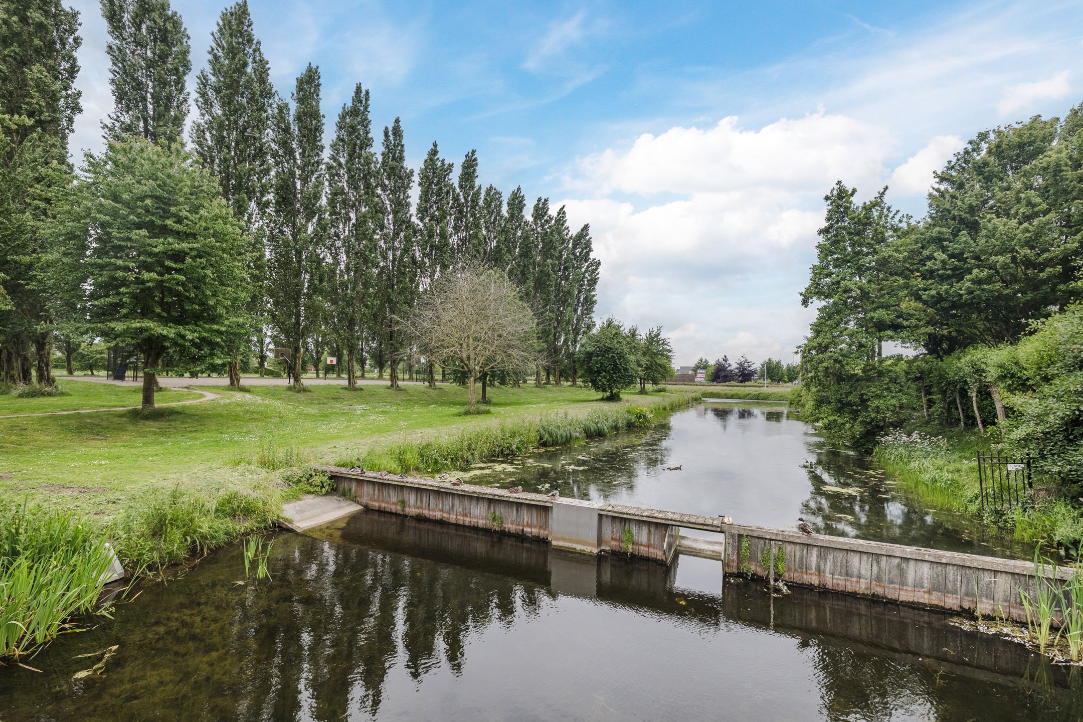 Foto 33 van Elzenmos 4