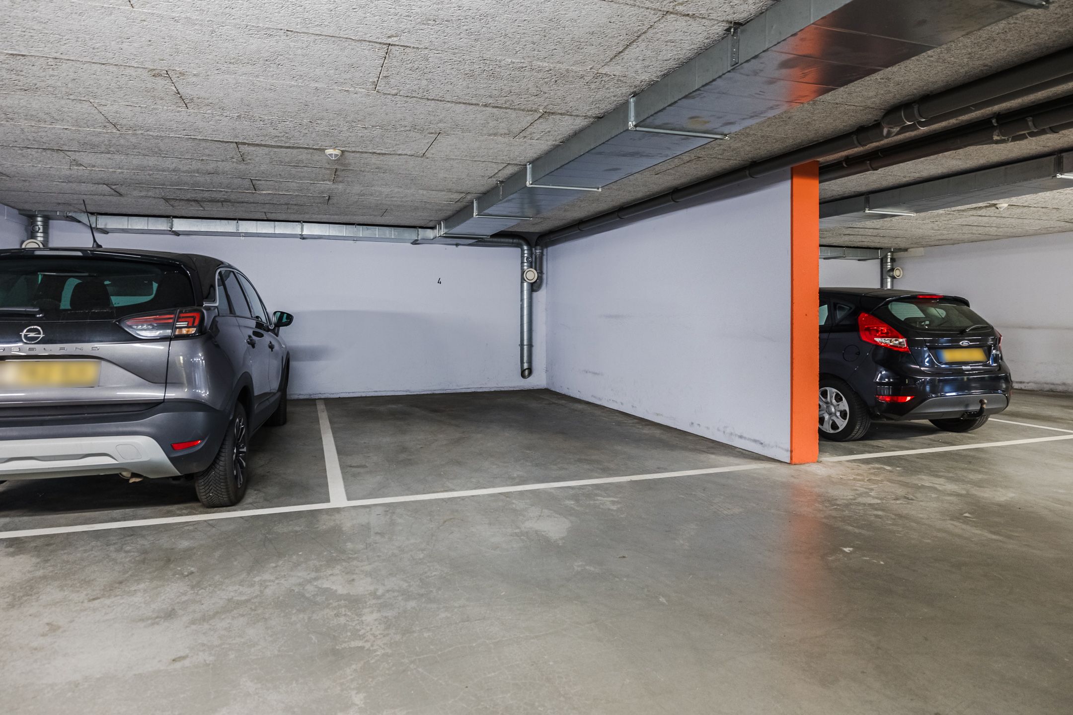 Foto 36 van Elzenmos 4