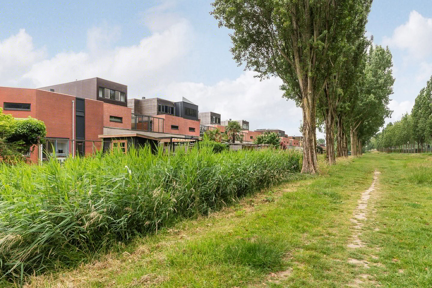 Foto 5 van Amazone 264