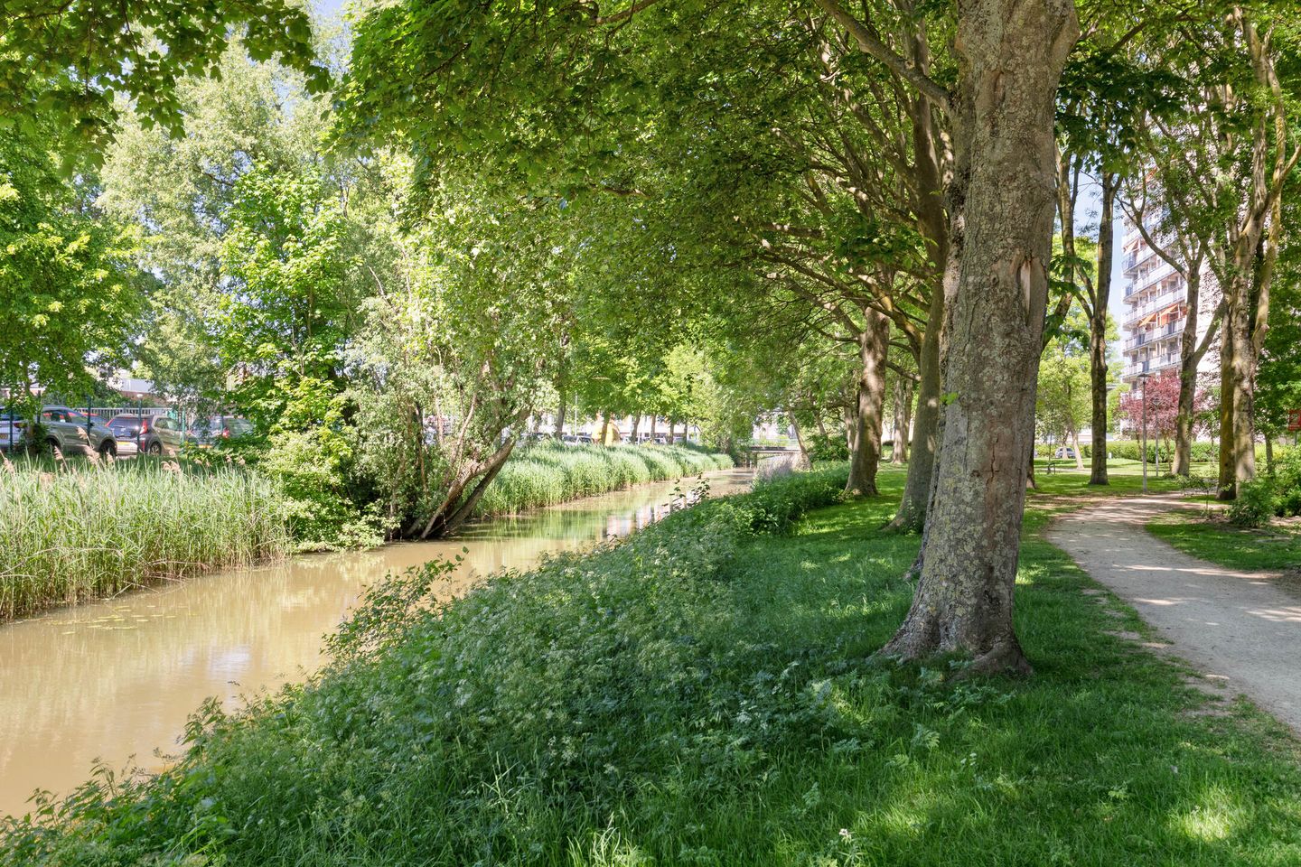 Foto 34 van Akkerwinde 45