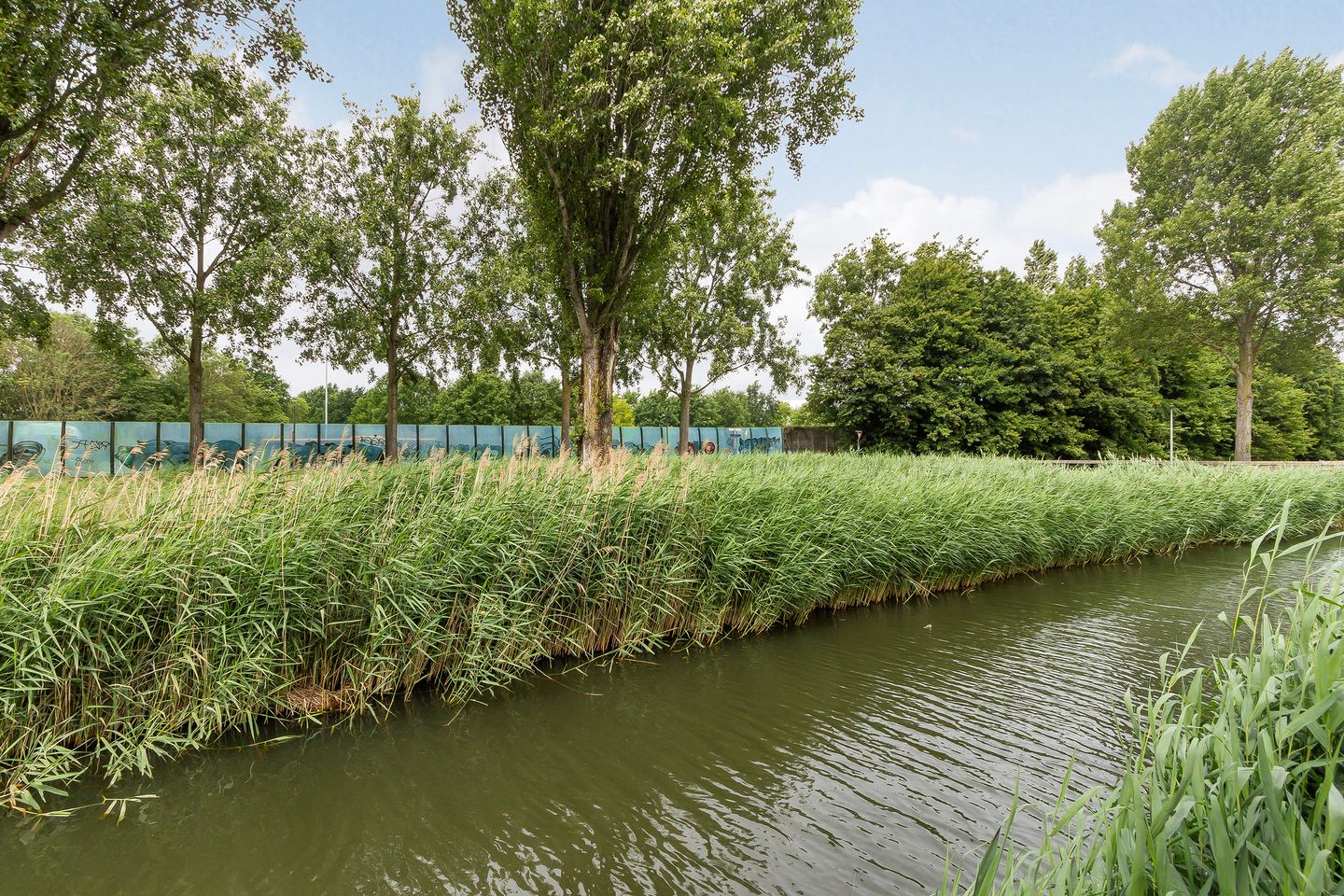 Foto 35 van Amazone 264