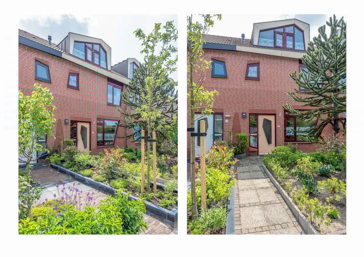 Foto 2 van Appel acker 3