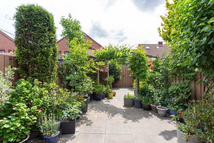 Foto 28 van Appel acker 3