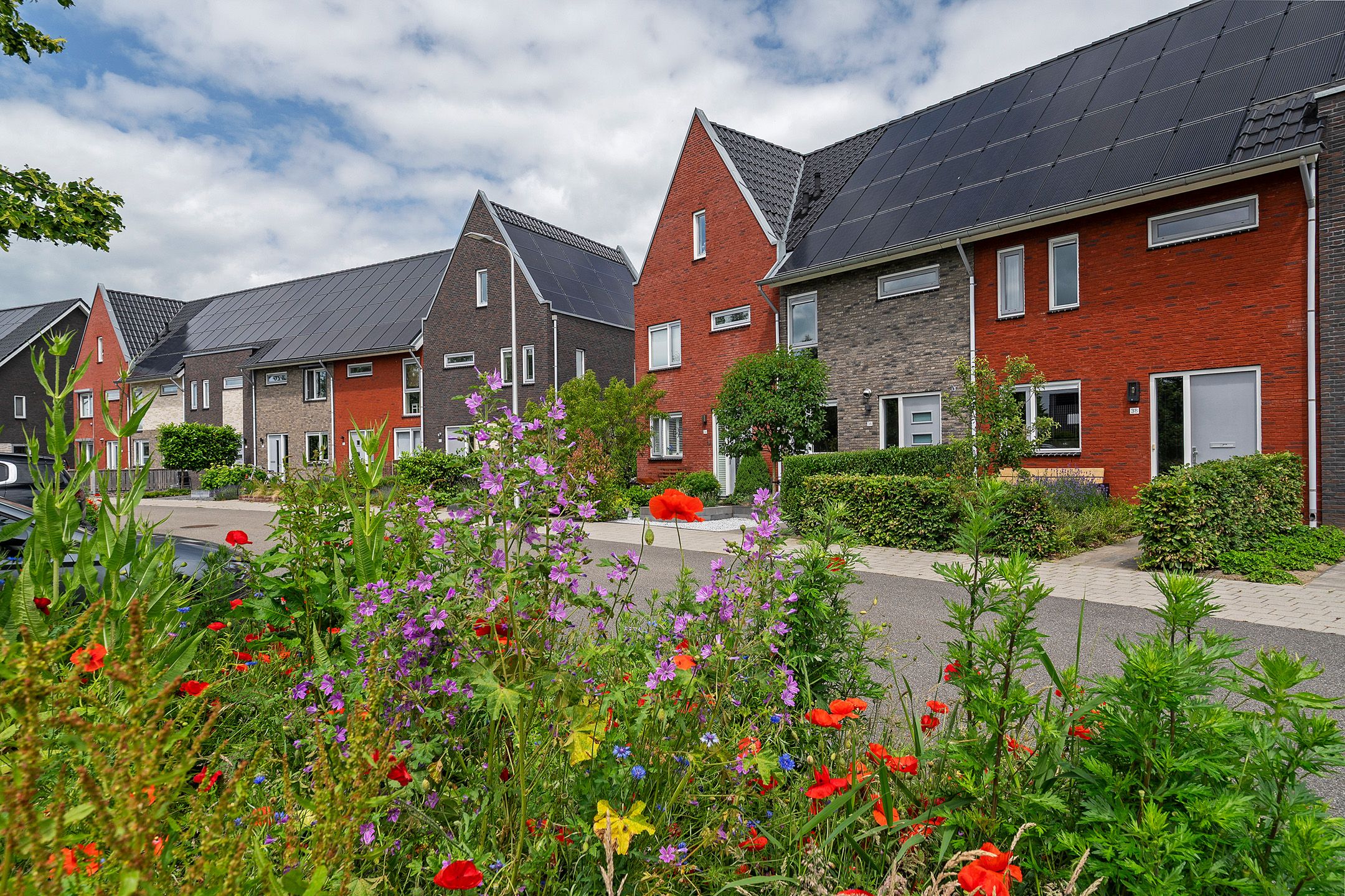 Foto 45 van Markeboek 36