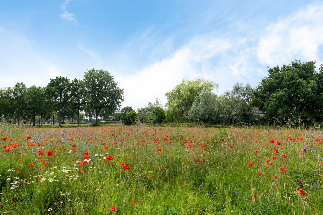 Foto 46 van Markeboek 36