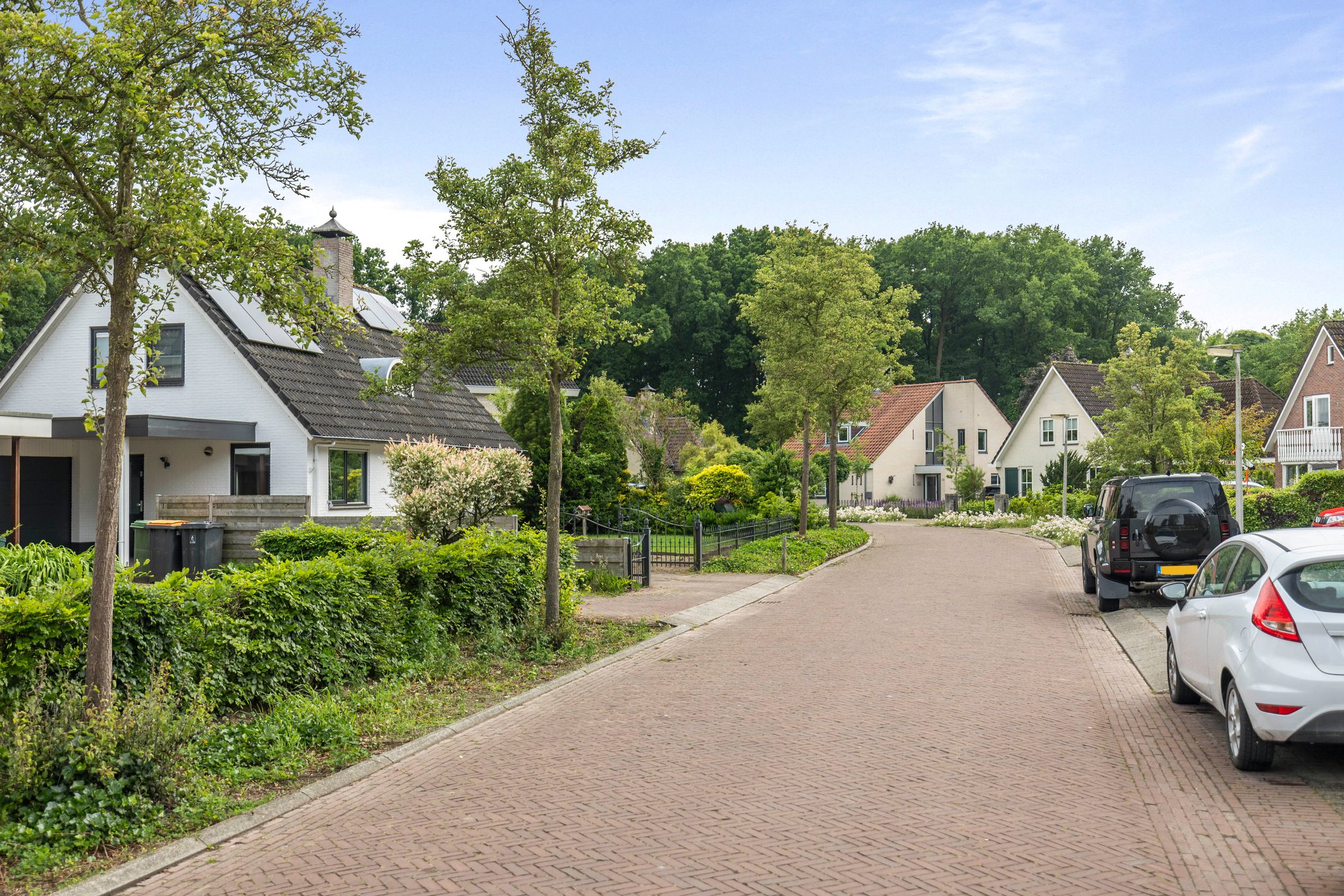 Photo 30 of Schimmelpennincksingel 5