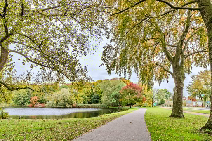 Foto 39 van Kortekade 115-B