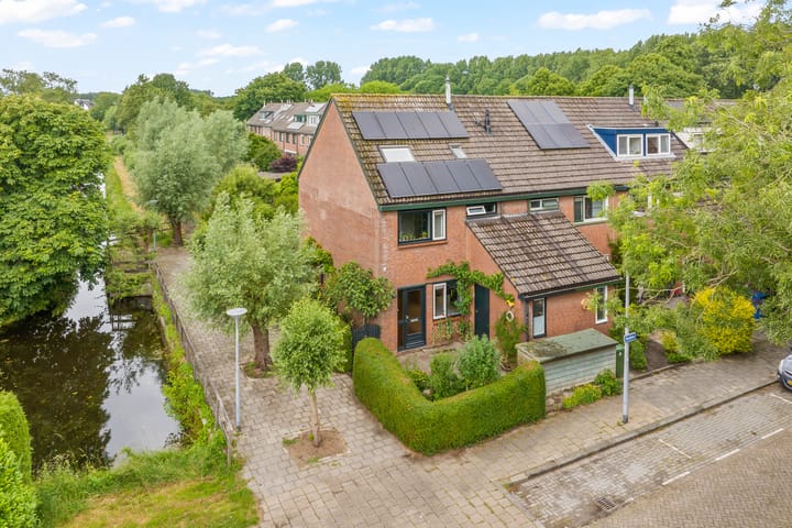 Foto 2 van Bosbes 101