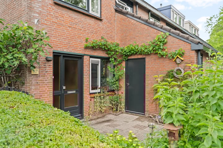 Foto 5 van Bosbes 101