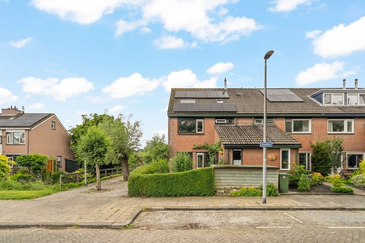 Foto 6 van Bosbes 101