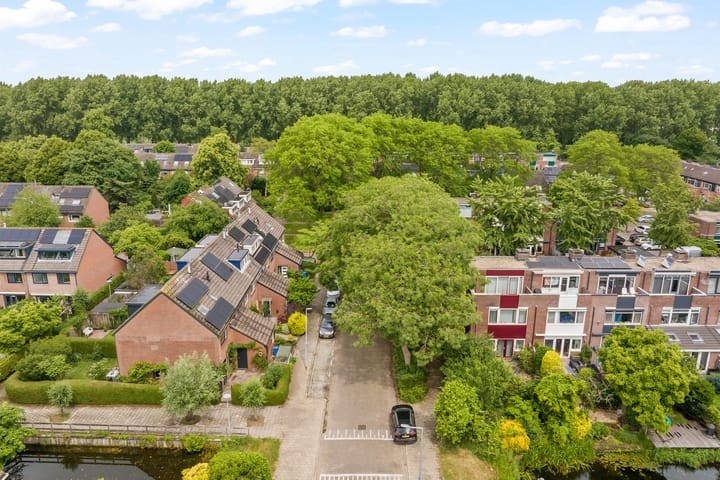 Foto 7 van Bosbes 101