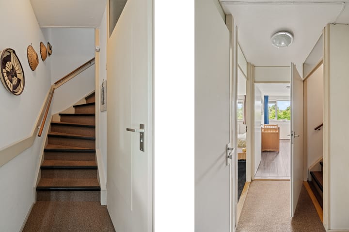 Foto 21 van Bosbes 101