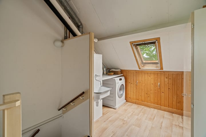 Foto 31 van Bosbes 101